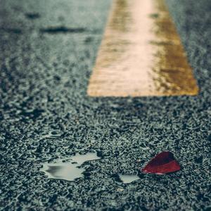 天天爱天天做天天干
